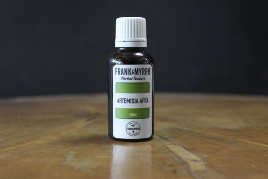 Artemisia Afra (Wormwood)