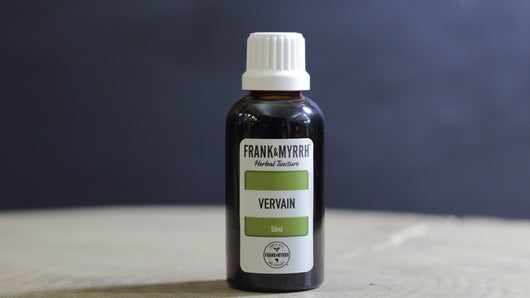 Vervain